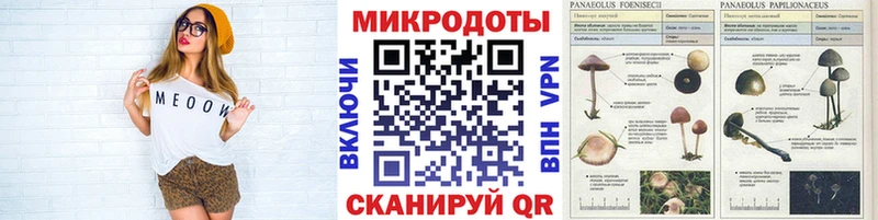Псилоцибиновые грибы ЛСД  Купить закладки  Губкин 