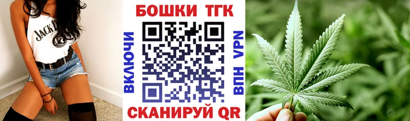 Бошки Шишки планчик Губкин